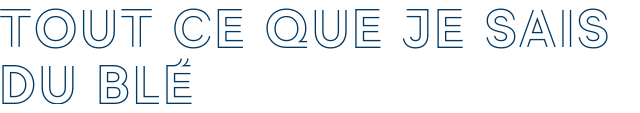TOUT CE QUE JE SAIS DU BLÉ
